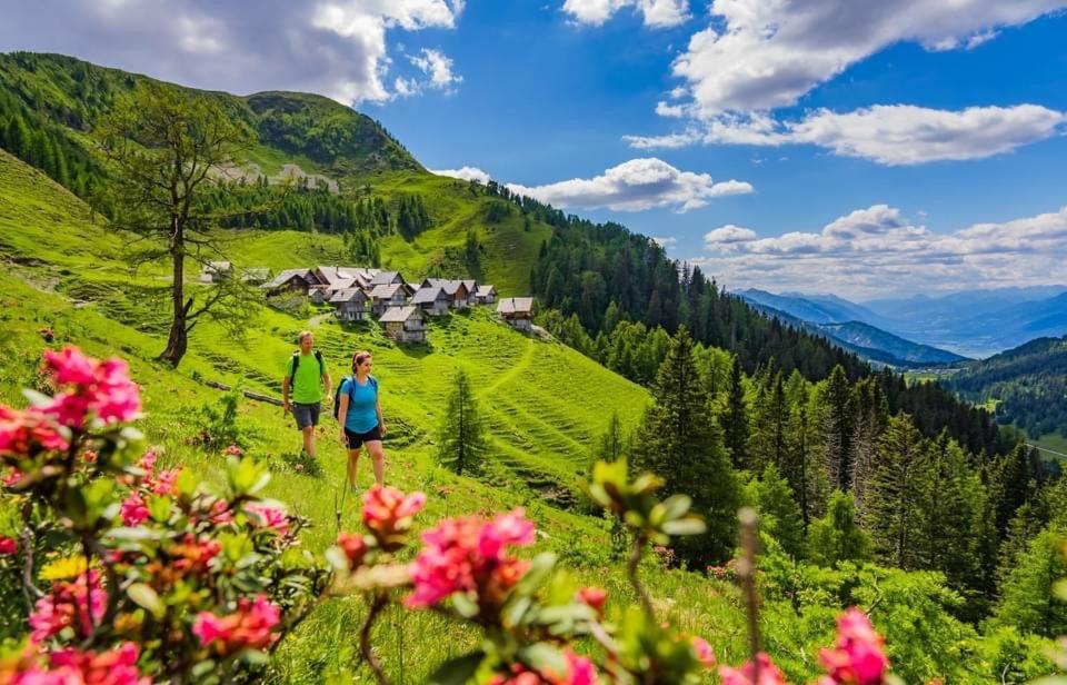 Luxury Chalet Mauthner Alm Kotschach-Mauthen Bagian luar foto