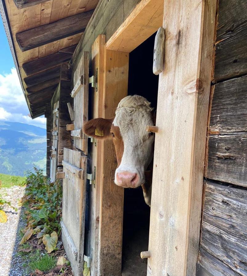 Luxury Chalet Mauthner Alm Kotschach-Mauthen Bagian luar foto